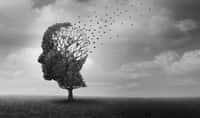 L’amélioration du QI observée au XXe siècle est-elle en train de plafonner ? © freshidea, Fotolia